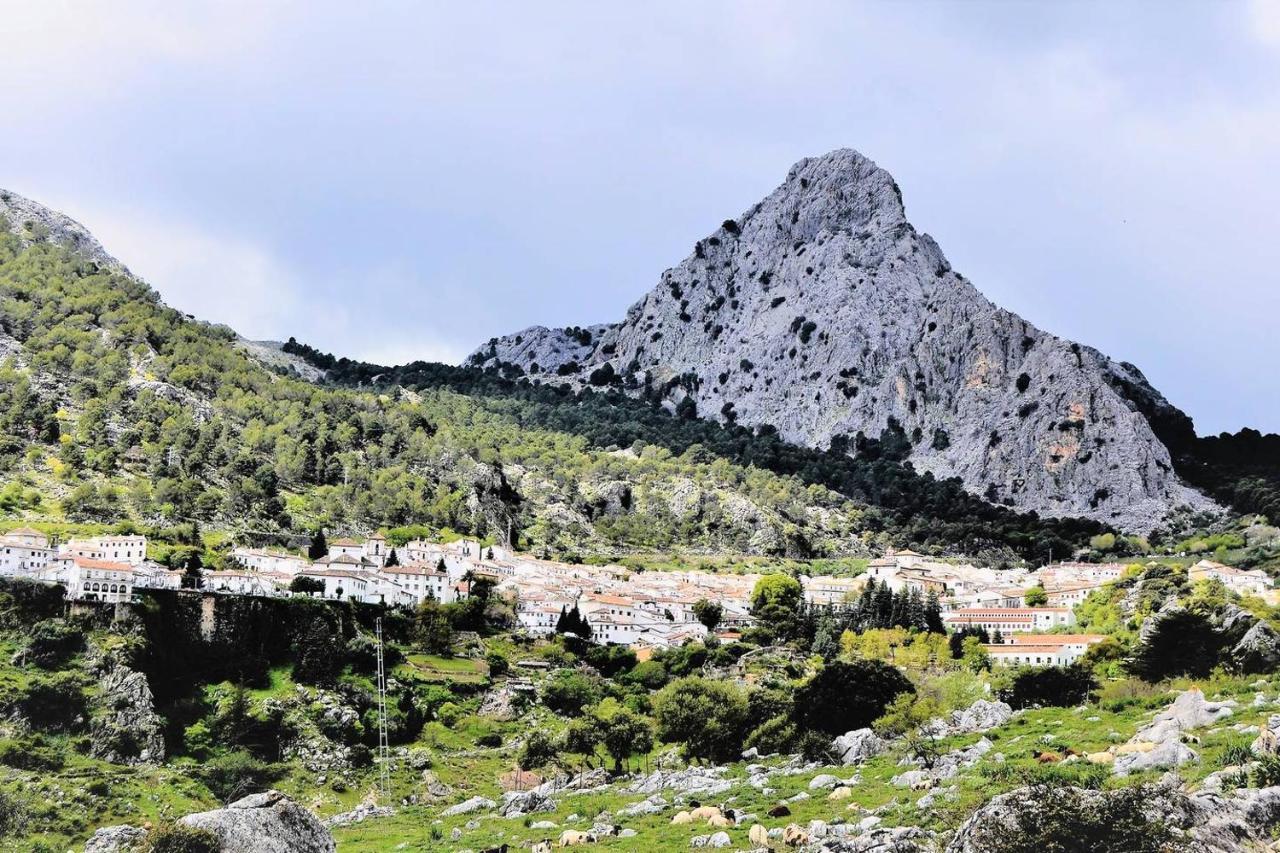 Casa Plaza Sierra Grazalema Villa Eksteriør billede